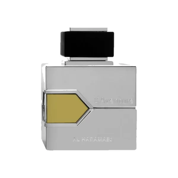 L' AVENTURE  MASCULINO EDP 100ML